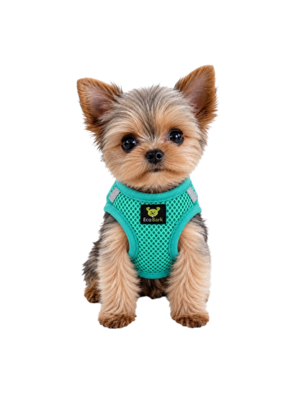 EcoBark XXXS Teal No Pull Dog Harness Adjustable Mesh Small Dog Puppy Reflective